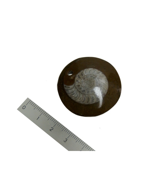 Colgante disco fósil amonite (5ud)
