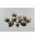 Fornitura plata semilla rayada (10ud)
