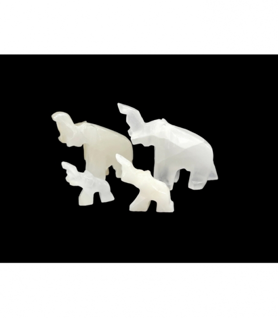 familia elefante onix blanco (7ud)